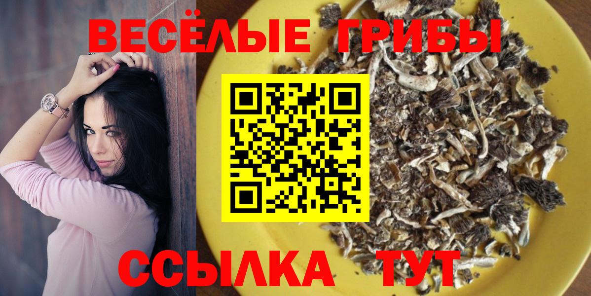 Галлюциногенные грибы Psilocybine cubensis  Вход с VPN  Тобольск  Галлюциногенные грибы Cubensis 