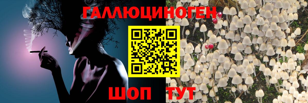 Галлюциногенные грибы прущие грибы Тобольск
