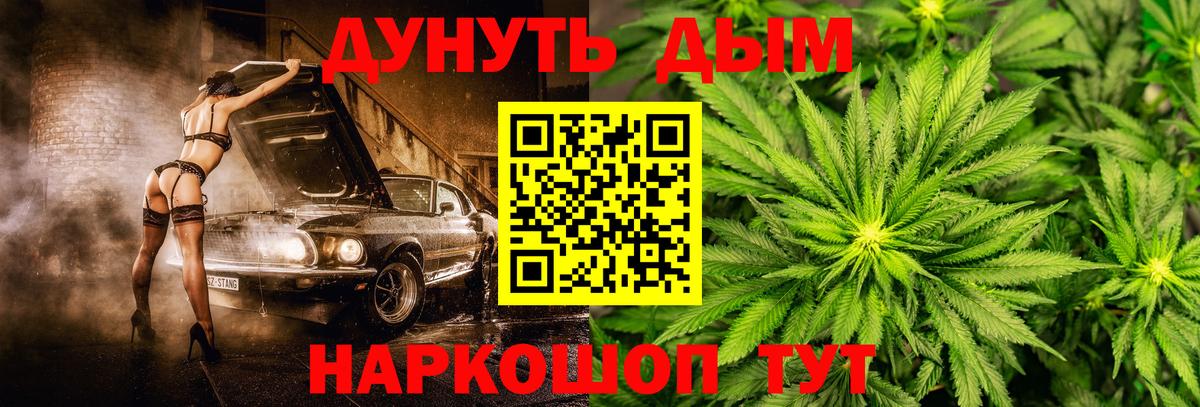 Бошки марихуана Bruce Banner  Вход с VPN  Тобольск  Конопля семена  Бошки марихуана ГИДРОПОН 